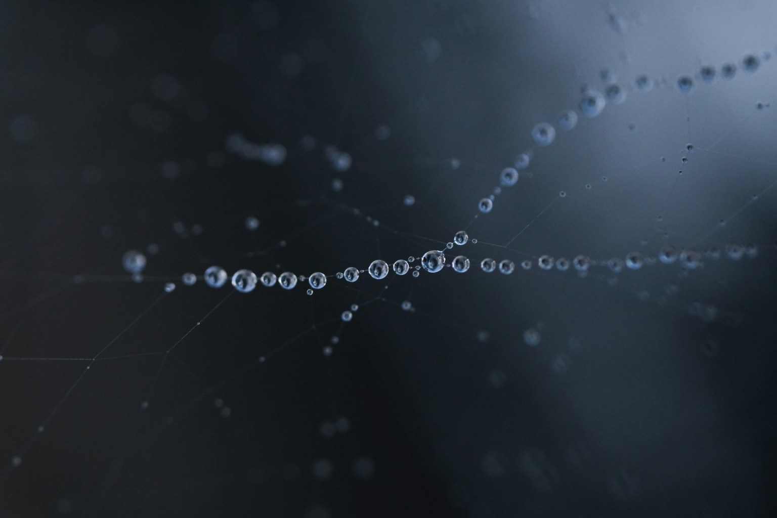 Exploring the invisible: Dr. Ariadni Boziki simulates the molecular world