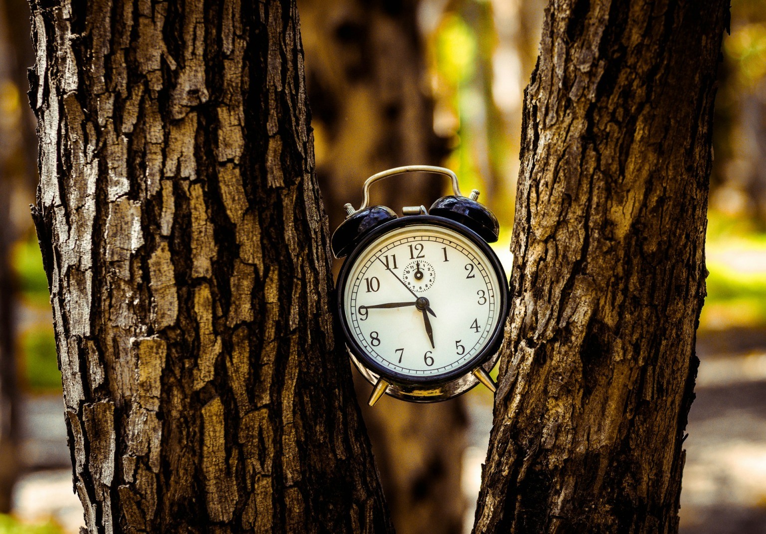 Why do we wake up before our alarm?